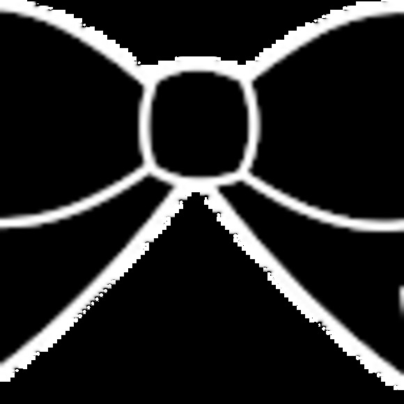 Meet your Posher, Raelynn - Picture 1 of 1